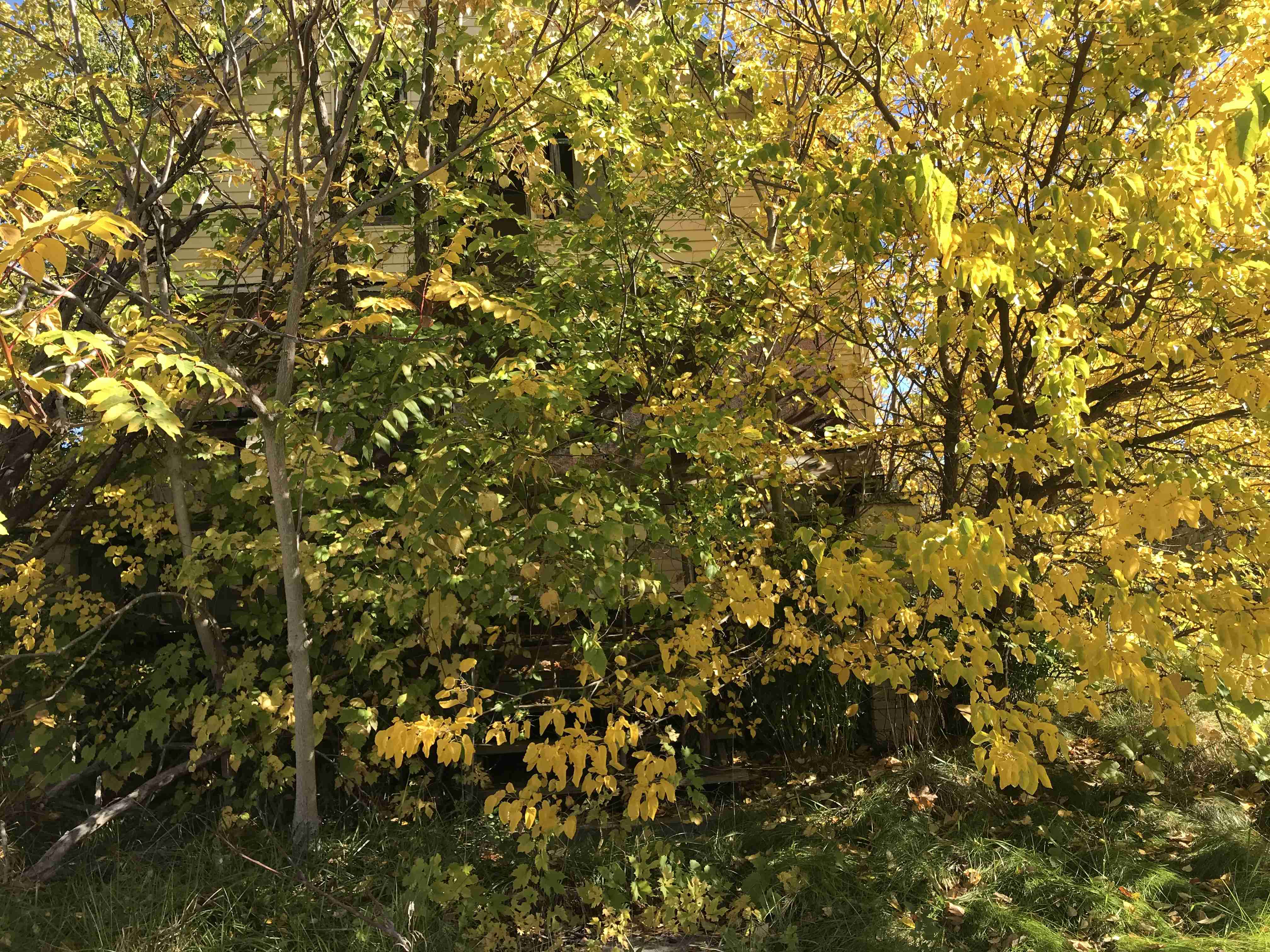 Photo Oct 13, 12 04 01 PM.jpg